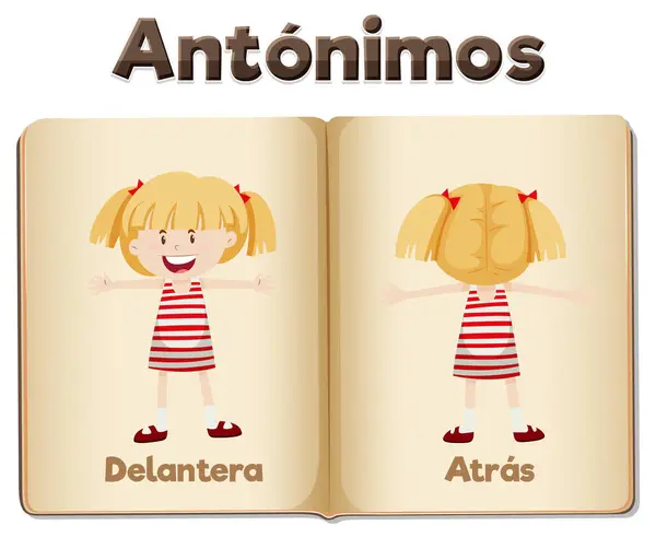 Geïllustreerde Woordkaart Met Antoniemen Spaanse Taal Betekent Voor Achterkant — Stockvector