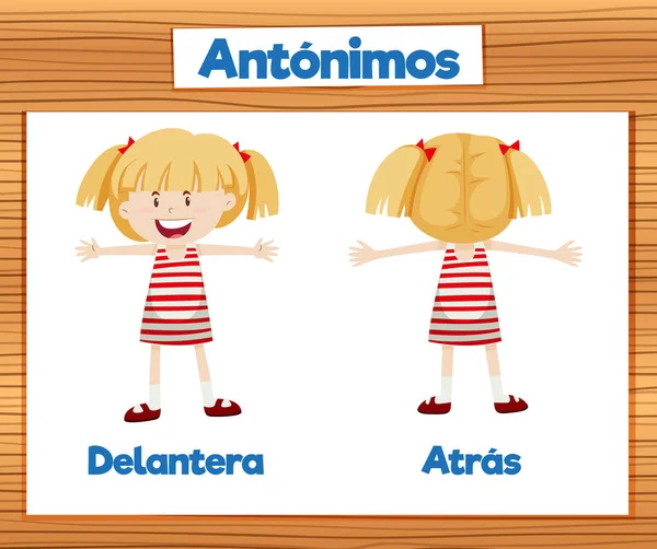 Illustrated Word Card Featuring Antonyms Delantera Atras Spanish Means Front — Stock Vector