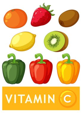 C vitamini zengin gıdaların vektör karikatür tarzında resmedilmesi