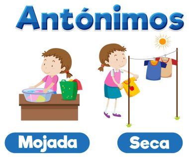 Islak ve kuru için resimli İspanyolca kelime kartı