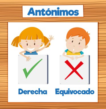 Doğru ve Yanlış için İspanyolca kelimeleri öğren