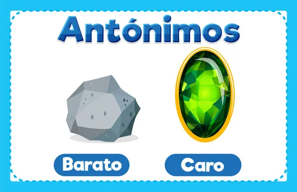バラトとカロを表示するスペイン語でイラストされた単語カードは 安価で高価です — ストックベクタ
