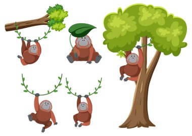 Dalları olan yemyeşil bir ağacın ortasında sallanan neşeli bir orangutan.