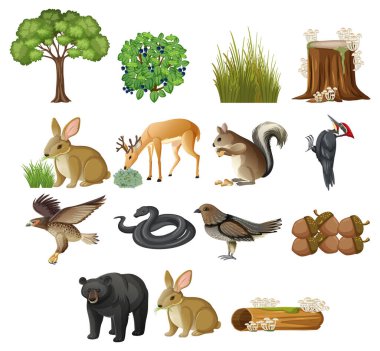 Ağaçlar ve hayvanlarla dolu vahşi ve izole bir ortamın vektör çizimi