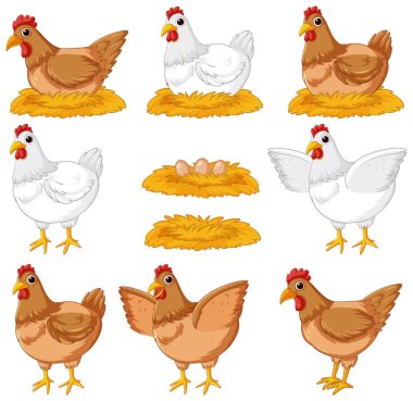 Bir tavuk, tavuk ve yumurta içeren renkli bir vektör çizimi