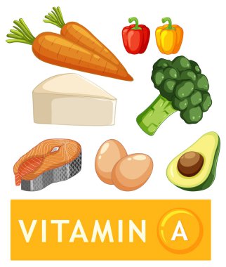 A vitamini bakımından zengin çeşitli besleyici gıdaların tasviri