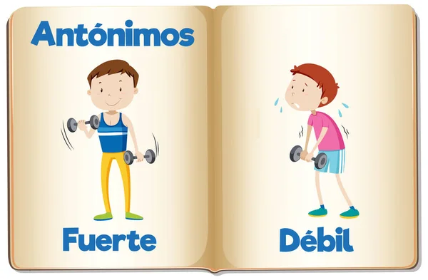 Cartes Mots Illustrées Enseignant Les Antonymes Espagnols Pour Les Forts — Image vectorielle