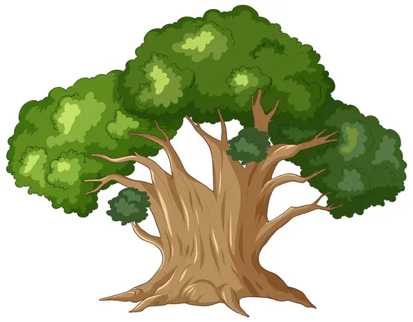 Wektor Ilustracji Dużego Tętniącego Życiem Drzewa — Wektor stockowy