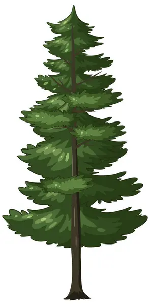背の高い常緑の松の木のベクトルグラフィック — ストックベクタ