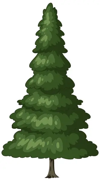 Vector Graphic Single Evergreen Pine Tree — Stock Vector