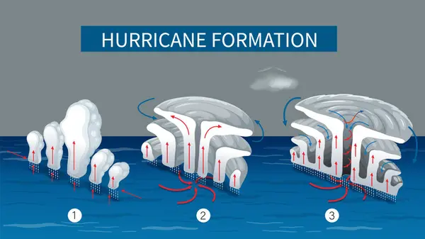 Illustrazione Che Mostra Processo Formazione Degli Uragani — Vettoriale Stock