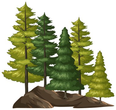 Sakin bir ormanda renkli ağaçlar..