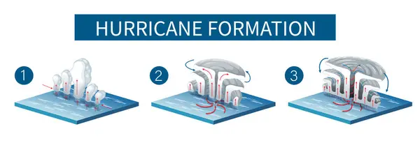 Illustrazione Raffigurante Processo Formazione Degli Uragani — Vettoriale Stock