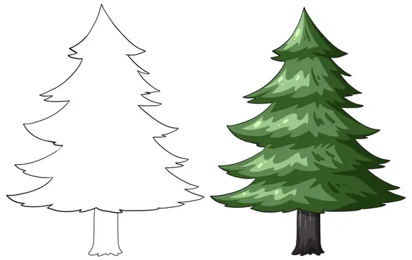 松の木のアウトラインと着色図 — ストックベクタ