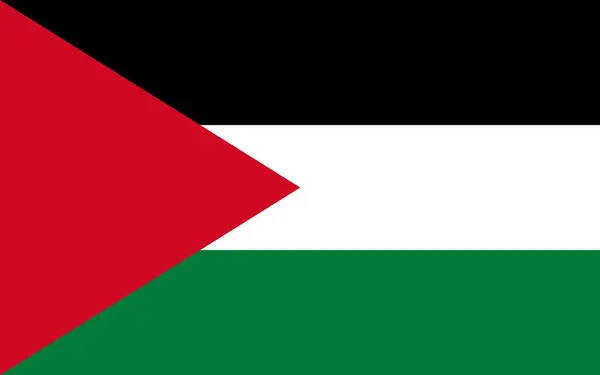 Illustration Palestinian Flag Simple Design — Stock Vector