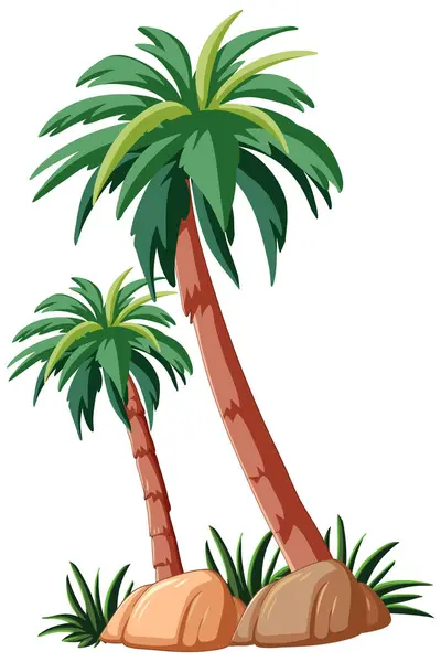 Illustration Vectorielle Deux Palmiers Sur Des Rochers — Image vectorielle