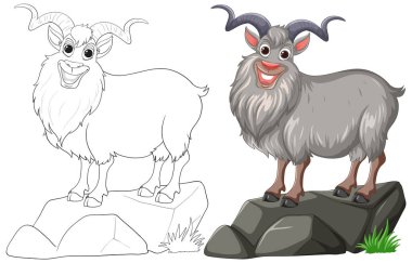 Coloring page and colored illustration of a mountain goat. clipart