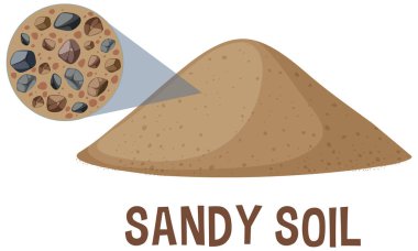 Detailed vector of sandy soil and its components clipart