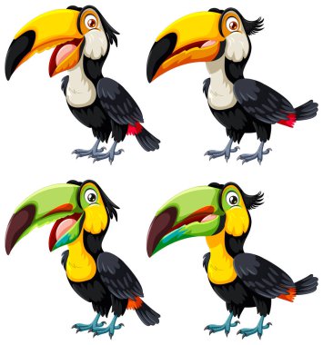 Canlı tukanların dört vektör çizimi.