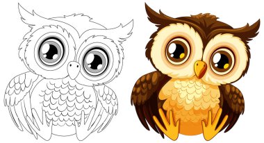 Vector illustration of an owl, colored and line art clipart