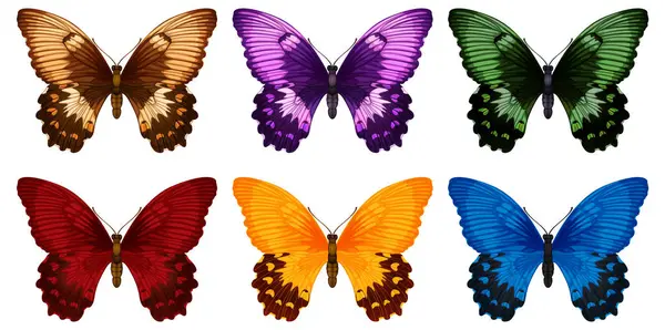 Eight Vibrant Butterflies Various Colors Stock Illustration