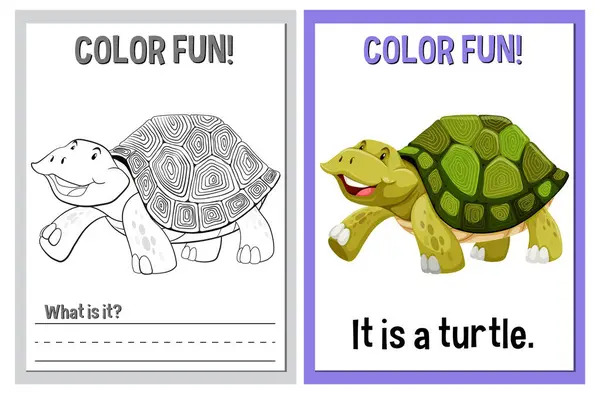 Coloring Learning Activity Turtle Vector Graphics