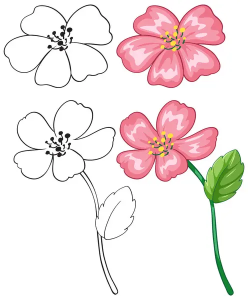 Pink Flowers Leaves Outlines Ilustrações De Stock Royalty-Free