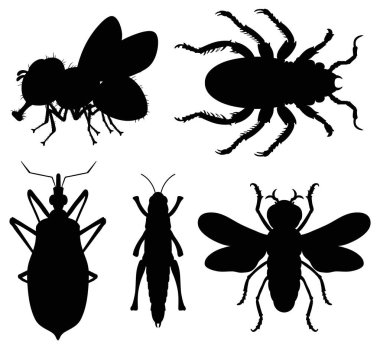 Beş farklı böceğin siyah siluetleri.