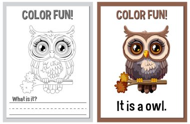 Educational coloring book pages with cute owl clipart