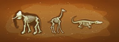Dinozor, mamut ve timsah iskeletleri.