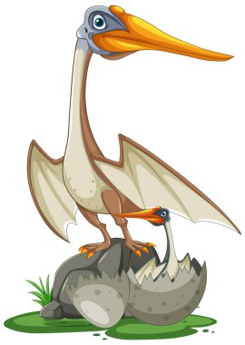 Yumurtadan bebek çıkan Pterodactyl.