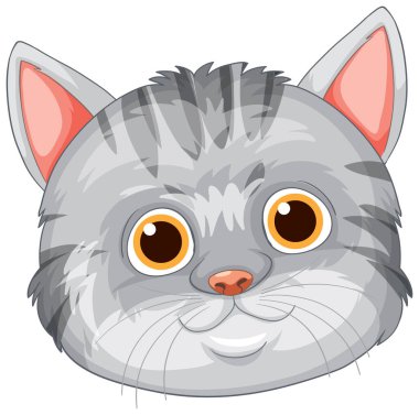 Büyük gözlü sevimli gri kedi.