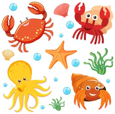 Deniz yosunlu ve kabuklu renkli deniz hayvanları