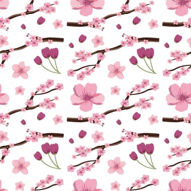 Beyaz arka planda kiraz çiçekleri ve laleler