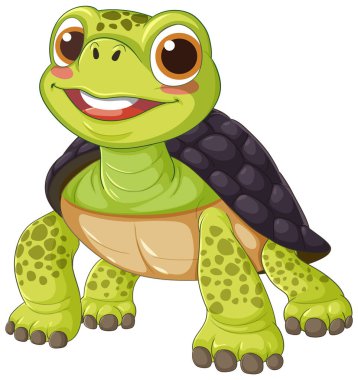 Yeşil bir kabuk ile gülümseyen kaplumbağa