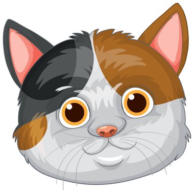 Kocaman gözleri olan sevimli bir yavru kedi.