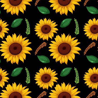 Siyah arka planda yeşil yapraklı parlak ayçiçekleri