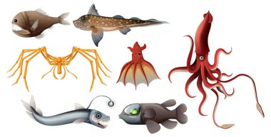 Vektör biçiminde çeşitli derin deniz canlıları