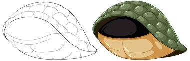 Colored and outline versions of a turtle shell clipart