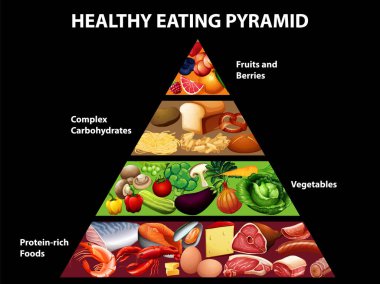 Dengeli beslenme ve besin gruplarının görsel rehberi