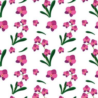 Beyaz arkaplanda yeşil yapraklı pembe orkideler