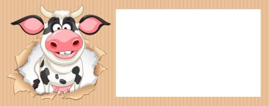 Smiling cow peeking through a torn paper frame clipart