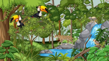 Tukanlar, leoparlar ve şelale canlı yağmur ormanlarında.