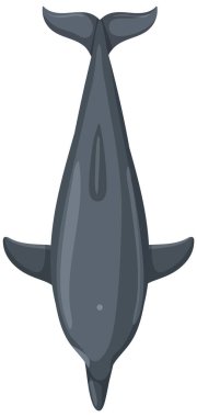 Yukarıdan vektör biçiminde görünen bir yunus