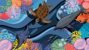 Mercan, kaplumbağa ve yunuslarla renkli deniz yaşamı