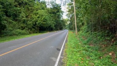 Bir araba ormanlık bir yoldan geçiyor.