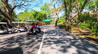 Golf arabaları manzaralı hayvanat bahçesi yolundan geçiyor.