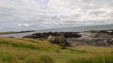 Yaban çiçekleri ve deniz manzaralı kıyı manzarası