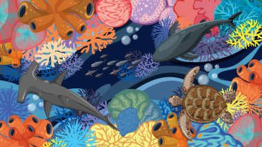 Renkli deniz yaşamı okyanus biyolojik çeşitliliğini gösteriyor