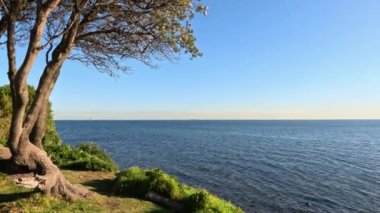 Brighton Beach, Melbourne, Avustralya 'da gün batımı